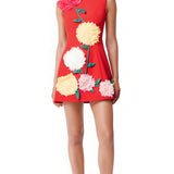 Punane Kuldne Mini Kleid