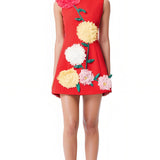 Punane Kuldne Mini Kleid