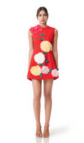 Punane Kuldne Mini Kleid