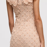 Varrukateta Roosa Mini Kleid