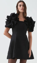 Chic Mini Dress with Must-Have Short Sleeves