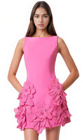 Robust Floral Embroidered Mini Dress